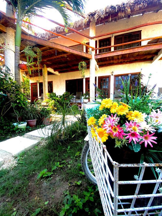 Don Panchon Y Maruxa Hotel Isla Holbox Exterior photo